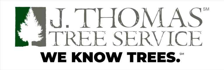 J Thomas Tree Service 1 768x242